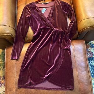 Velvet Plum Dress- Loft